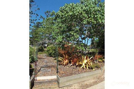 Property photo of 44 Pindari Avenue Ferny Hills QLD 4055