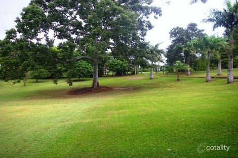 Property photo of 65 Salisbury Drive Julatten QLD 4871