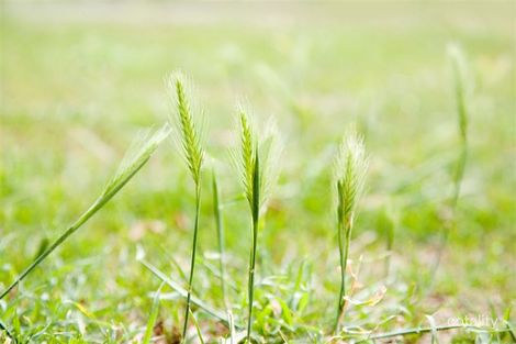 3/393 Station St, Bonbeach, VIC 3196