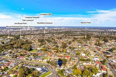 Property photo of 110 Anderson Avenue Mount Pritchard NSW 2170