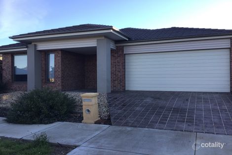 3 Bluebell Dr, Craigieburn, VIC 3064