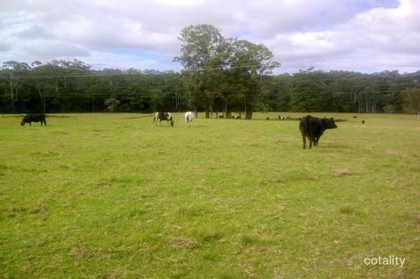 Property photo of 2090 The Lakes Way Rainbow Flat NSW 2430