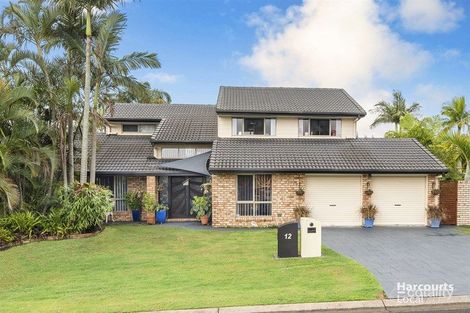Property photo of 12 Poinsettia Crescent Calamvale QLD 4116