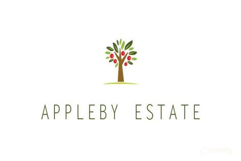 Property photo of 37 Appleby Road Morphettville SA 5043