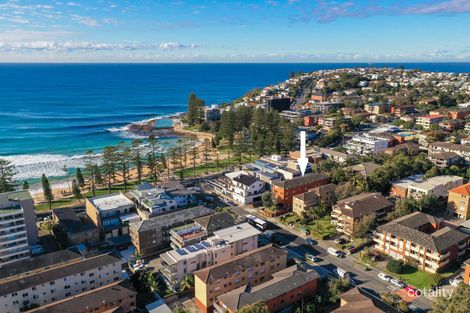 Property photo of 11/105 Howard Avenue Dee Why NSW 2099