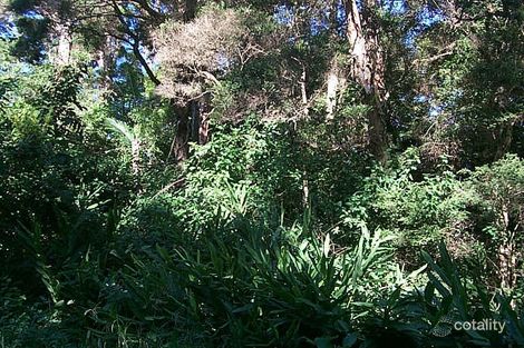 183 Granite St, Port Macquarie, NSW 2444