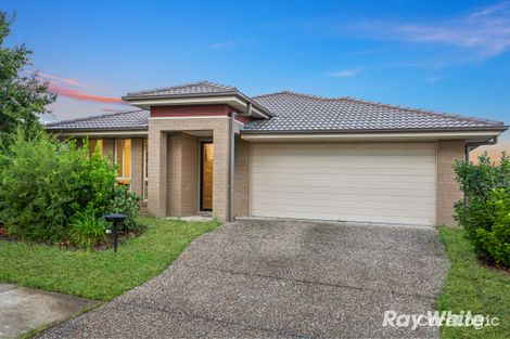 Property photo of 49 Sienna Circuit Yarrabilba QLD 4207