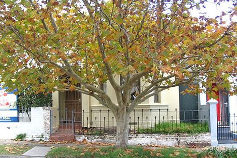 5 View St, Woollahra, NSW 2025