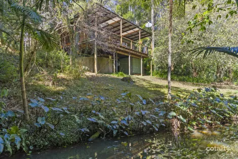 Property photo of 8 Kuralboo Street Springbrook QLD 4213