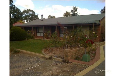 7 Cook St, Nuriootpa, SA 5355