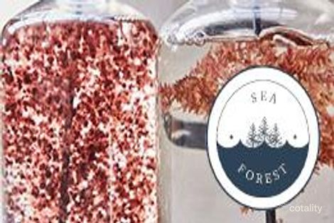 Property photo of 496 Freestone Point Road Triabunna TAS 7190