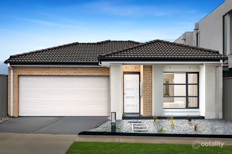 Property photo of 46 Caspian Drive Craigieburn VIC 3064