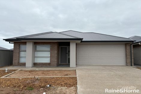 15 Clonlara Cct, Virginia, SA 5120