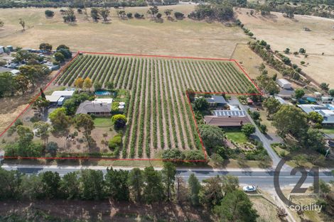 137-141 Moculta Rd, Penrice, SA 5353