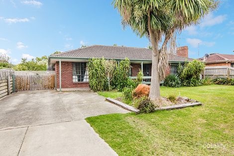 Property photo of 11 Pearce Court Pearcedale VIC 3912