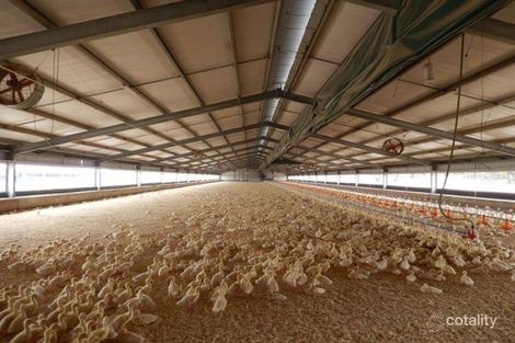 Property photo of 45 Ramsay Street Nhill VIC 3418