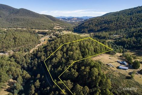 1 Halls Track Rd, Pelverata, TAS 7150