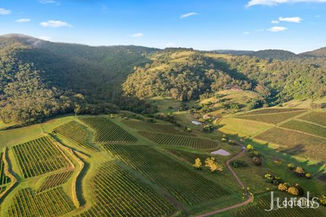 Property photo of 493 Marrowbone Road Pokolbin NSW 2320