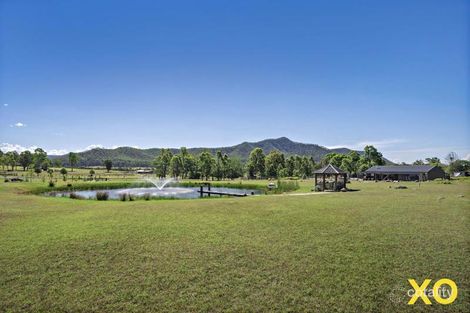587 Wollombi Rd, Broke, NSW 2330