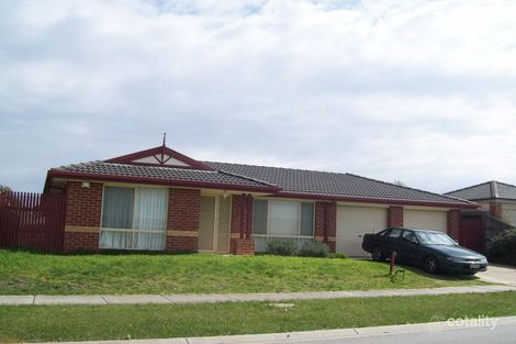 50 Tralee Cct, Narre Warren, VIC 3805