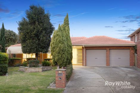 Property photo of 17 Cunningham Close Aspendale Gardens VIC 3195