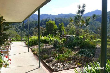 Property photo of 426 Mount Coxcomb Road Upper Lansdowne NSW 2430