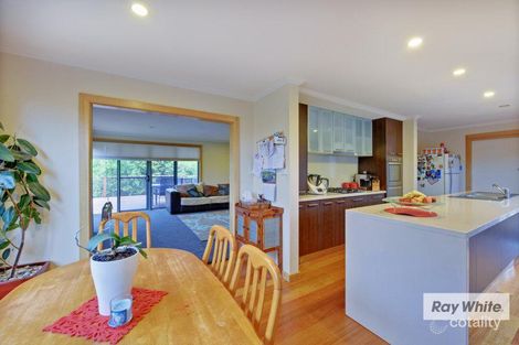 Property photo of 42 Curraghmore Avenue Park Grove TAS 7320