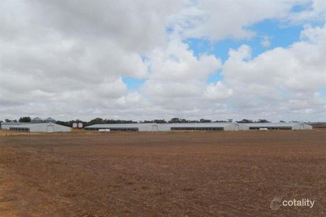 Property photo of 45 Ramsay Street Nhill VIC 3418