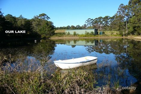 Property photo of 50 Firewheel Road Ringtail Creek QLD 4565