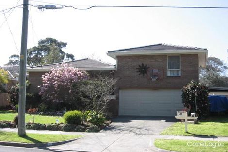 Property photo of 41 Larch Crescent Mount Waverley VIC 3149