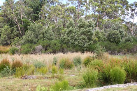 Lot 5 Hurst St, Zeehan, TAS 7469