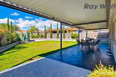 Property photo of 43 Dapper Street Sunnybank Hills QLD 4109