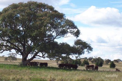 24 Dewsburys Lane, Quialigo, NSW 2580