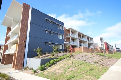 Property photo of 36/136 Thynne Street Bruce ACT 2617
