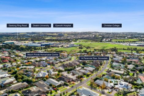 Property photo of 14 Perennial Rise Grovedale VIC 3216