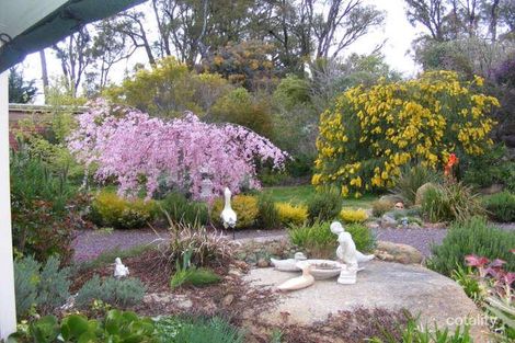 Property photo of 2096 Euroa-Strathbogie Road Strathbogie VIC 3666