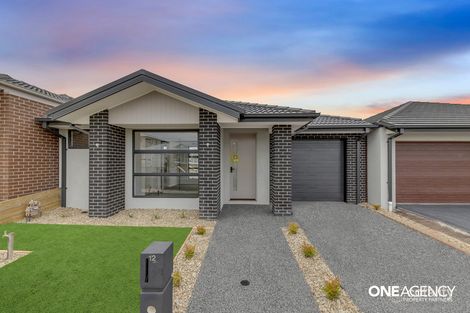 12 Repartee St, Tarneit, VIC 3029