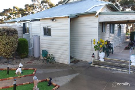 Property photo of 12 Rogers Terrace Maitland SA 5573