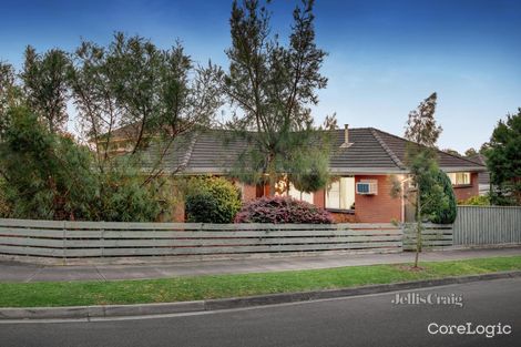 Property photo of 41 Jenner Street Blackburn South VIC 3130