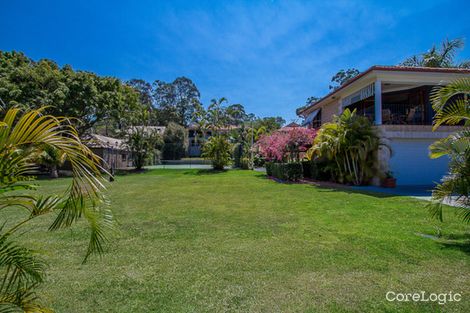 Property photo of 46 Reed Street Ashmore QLD 4214