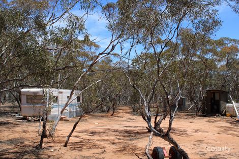 1301 Sleeper Trk, Swan Reach, SA 5354