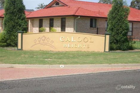 Property photo of 14 Edinglassie Drive Muswellbrook NSW 2333