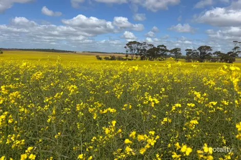 1105 Coorow-Green Head Rd, Coorow, WA 6515