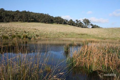 Property photo of 33 Knights Track Springfield VIC 3434