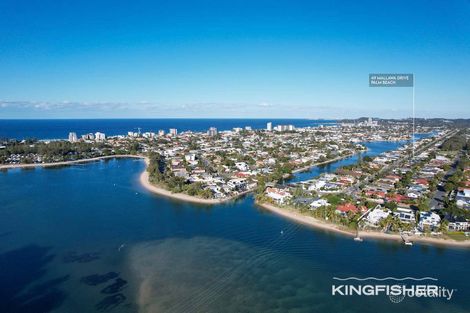 Property photo of 49 Mallawa Drive Palm Beach QLD 4221