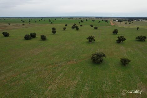 5952 The Bogan Way, Tottenham, NSW 2873