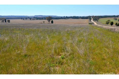 Property photo of 3805 Golden Highway Elong Elong NSW 2831