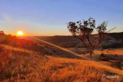 Property photo of 210 Burns Road Ullamalla NSW 2850