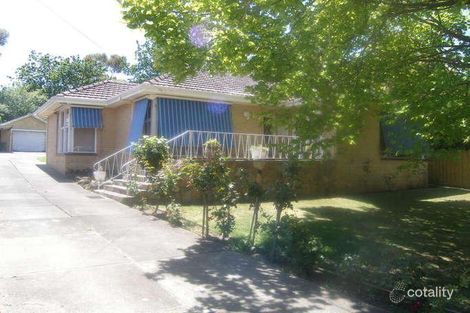 19 Elgin St, Berwick, VIC 3806