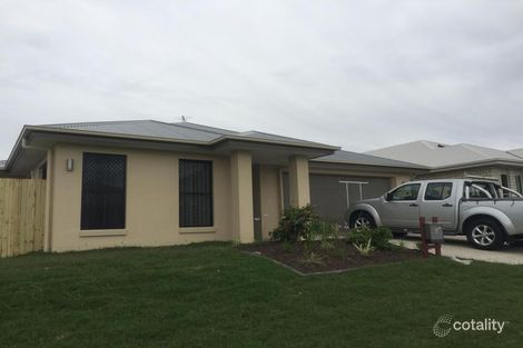 Property photo of 6 Sueby Close Carseldine QLD 4034